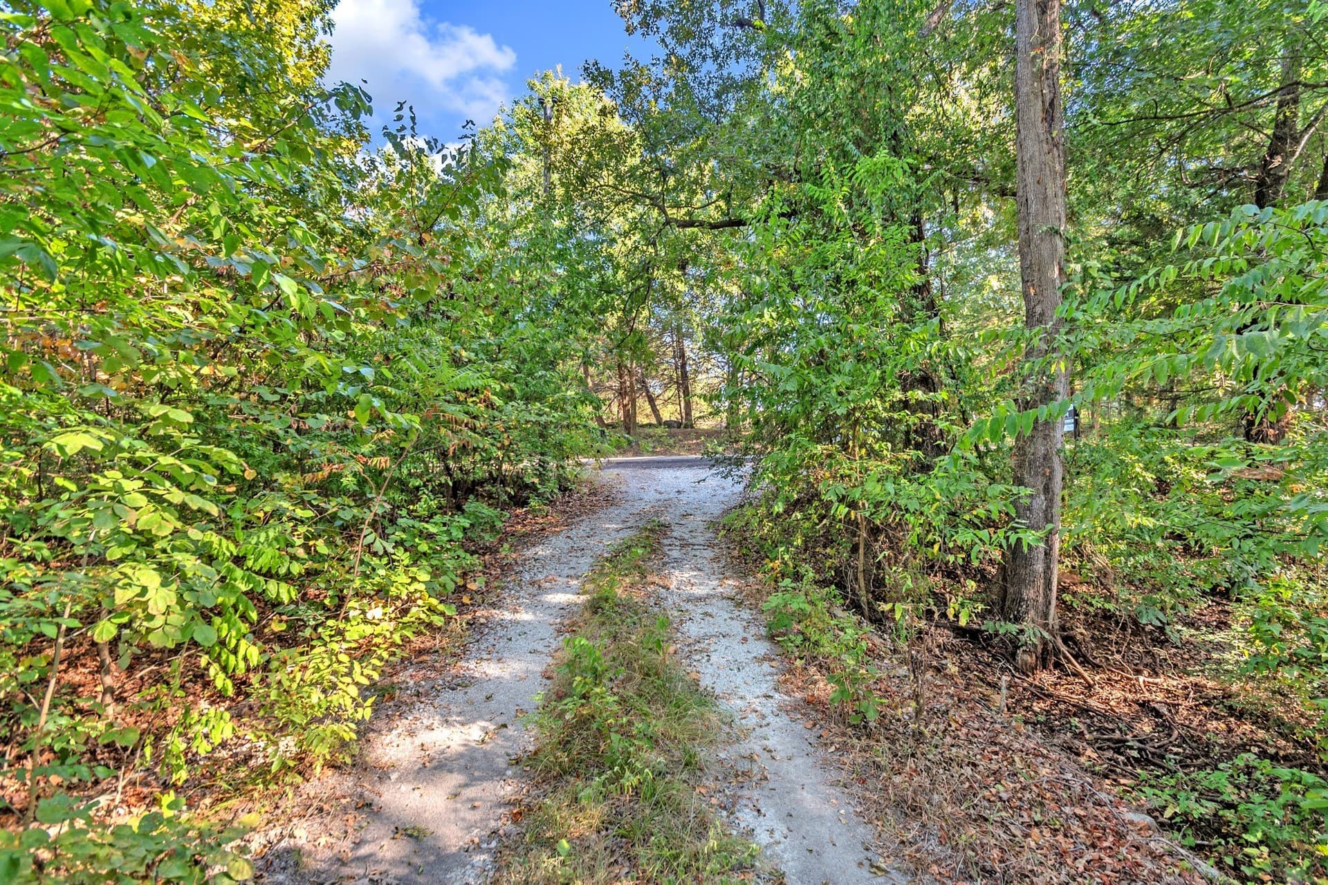 11.11 acres in Fannin County - photo 4