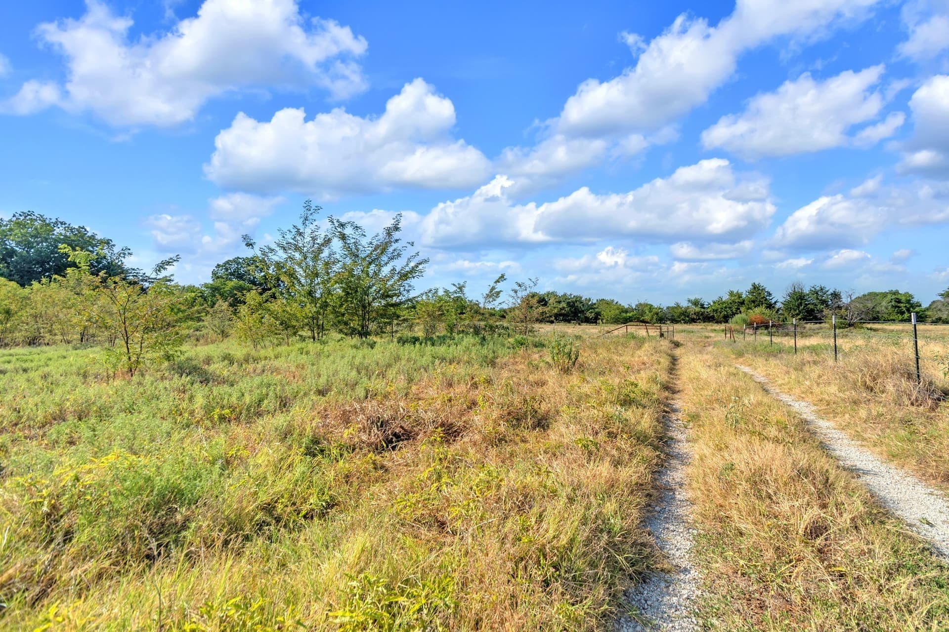 11.11 acres in Fannin County - photo 5
