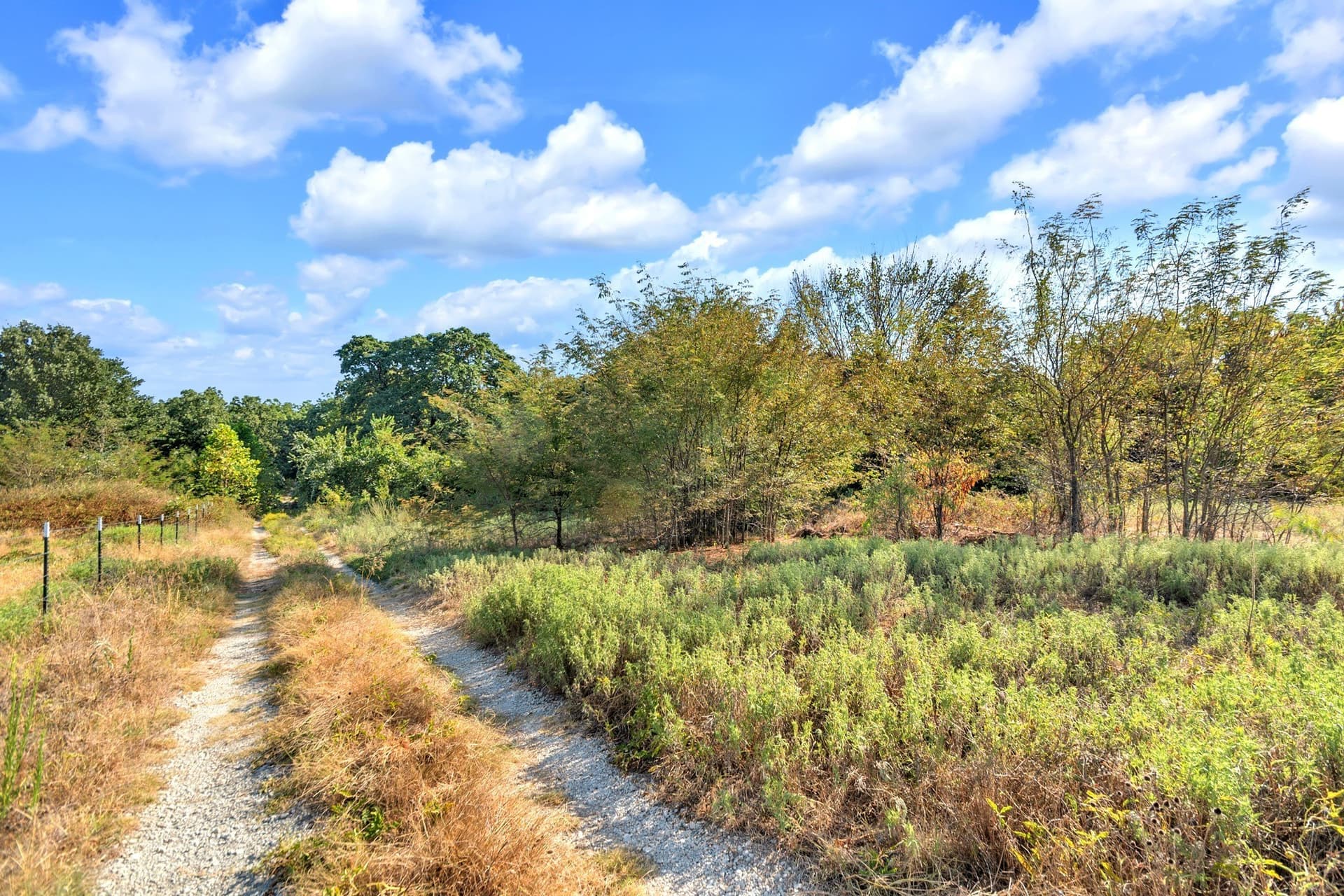 11.11 acres in Fannin County - photo 7