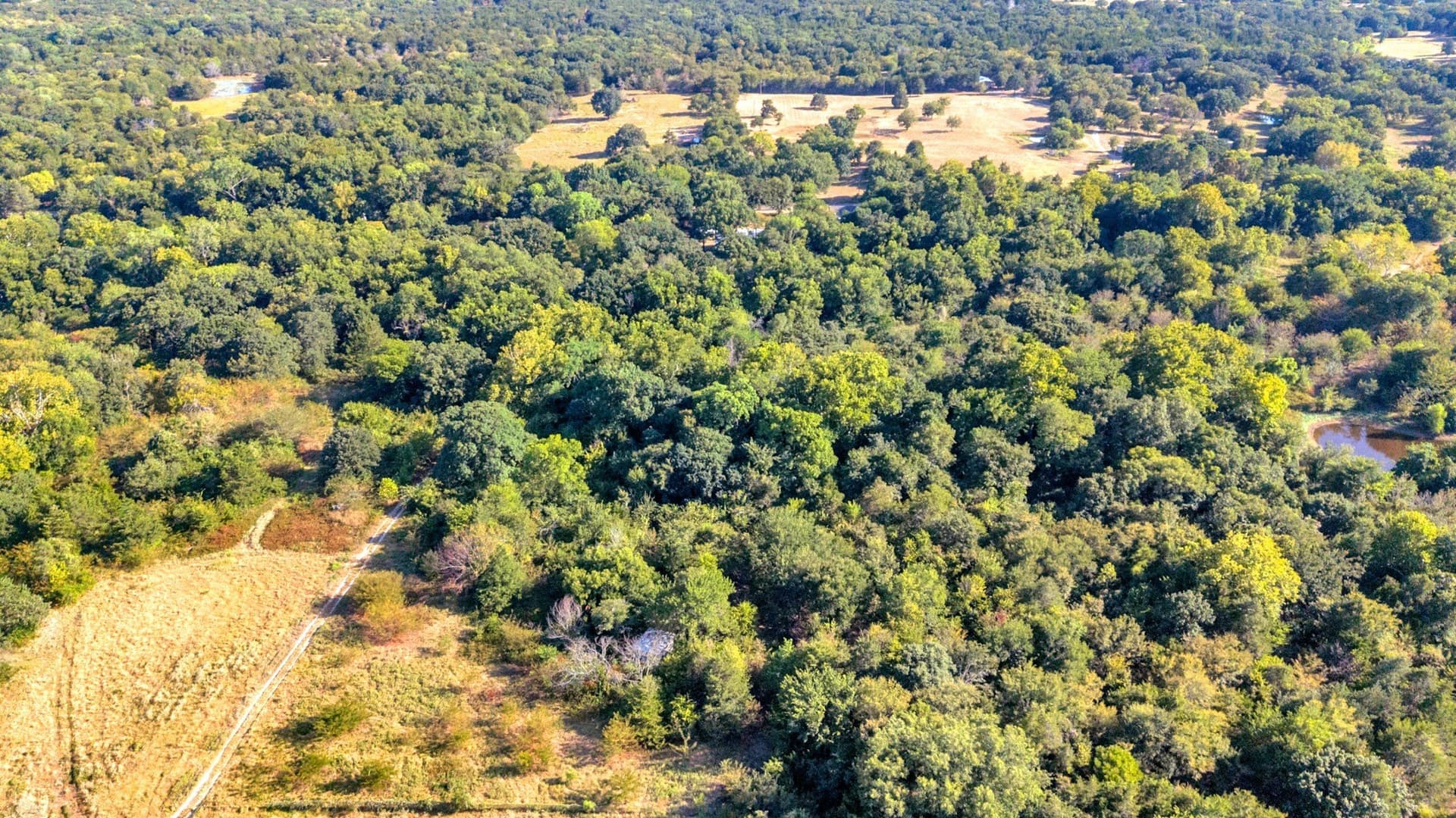 11.11 acres in Fannin County - photo 10