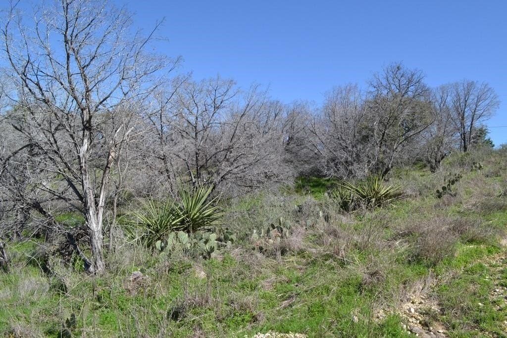 0.47 acres in Burnet County gallery image 2
