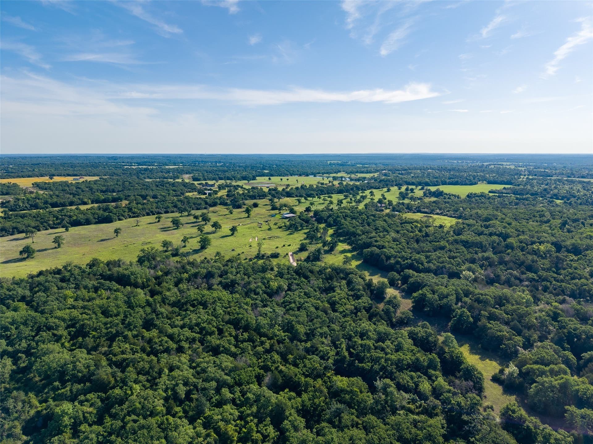 5.6 acres in Leon County - photo 6