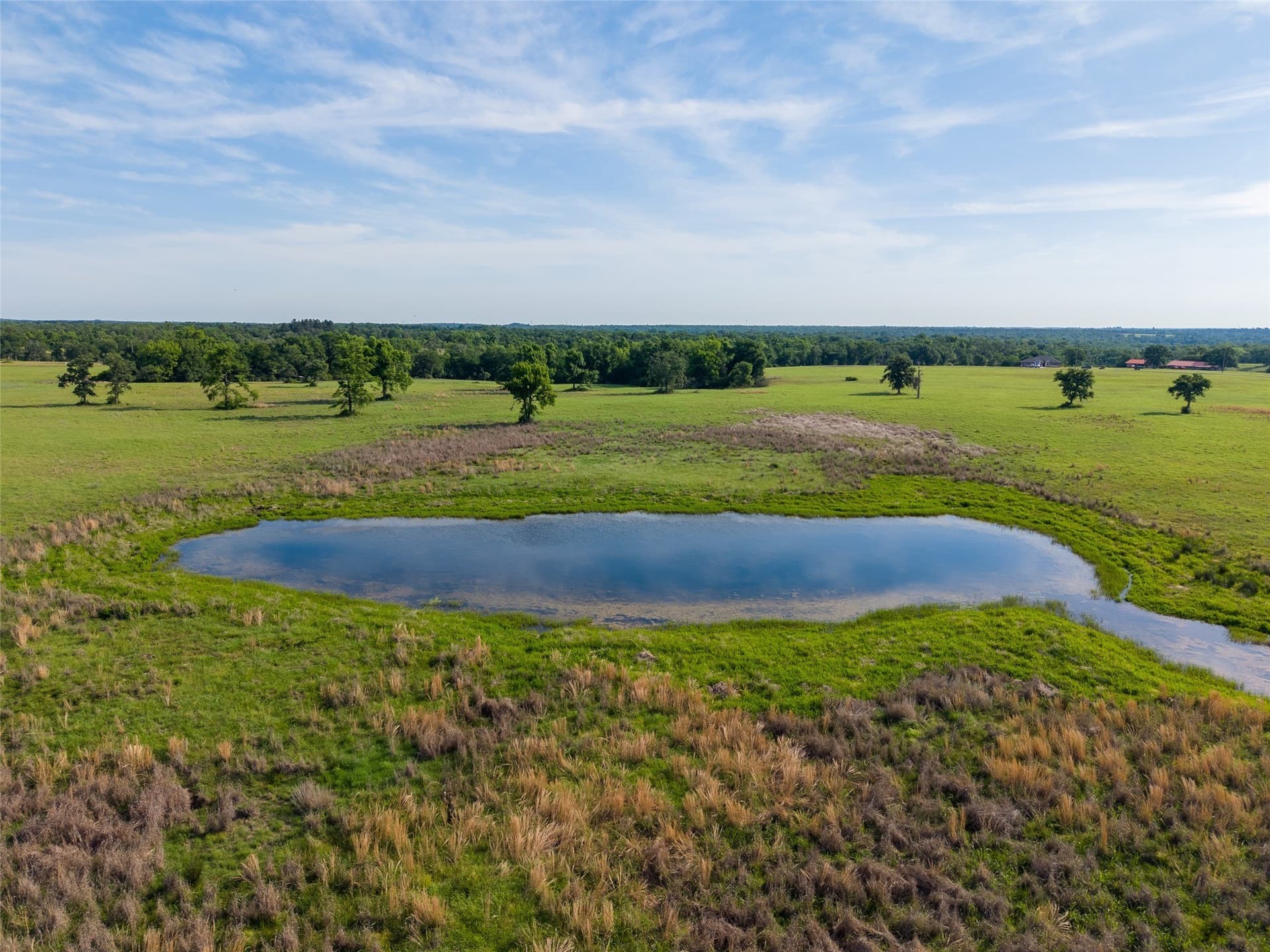 5.6 acres in Leon County - photo 11