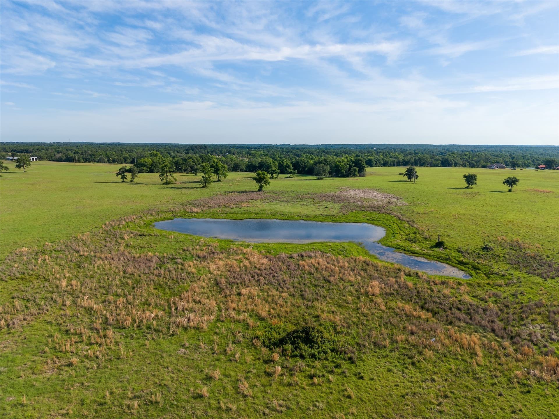 5.6 acres in Leon County - photo 10