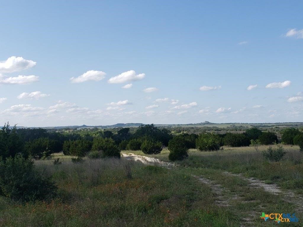 131.9 acres in Lampasas County gallery image 2