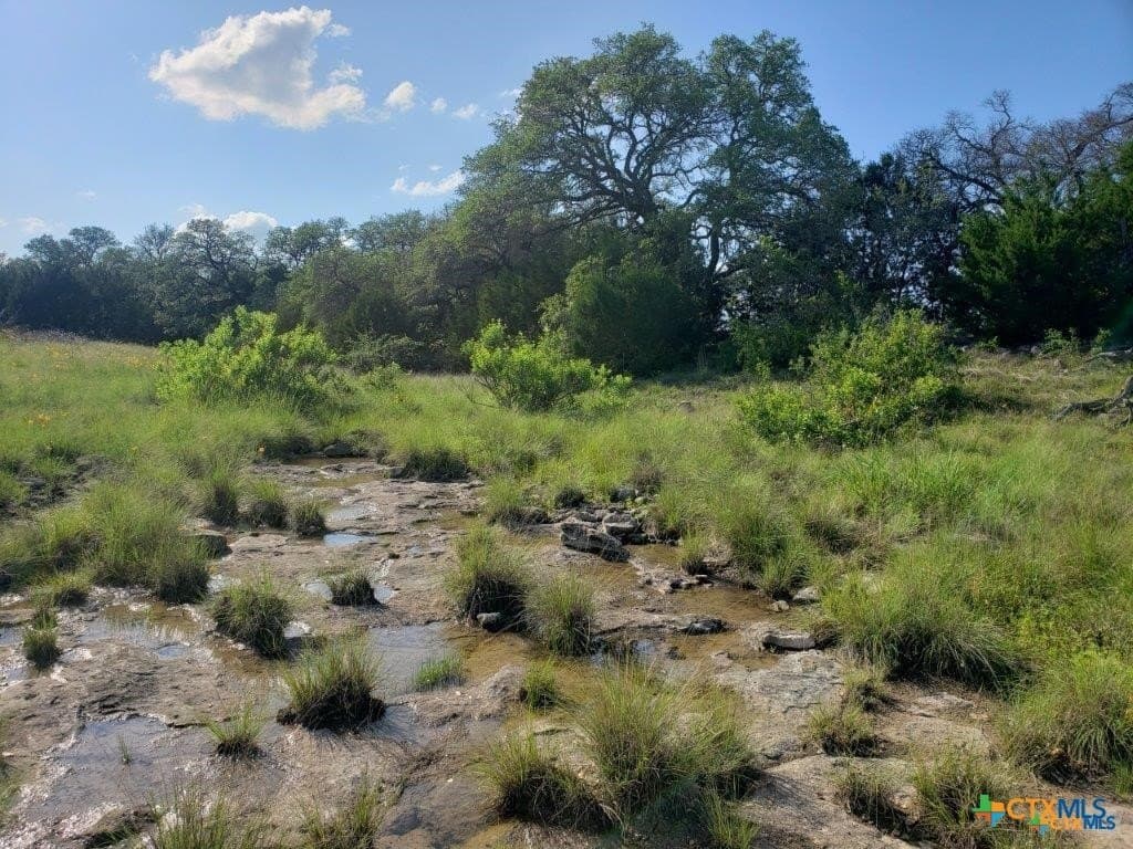 131.9 acres in Lampasas County gallery image 4