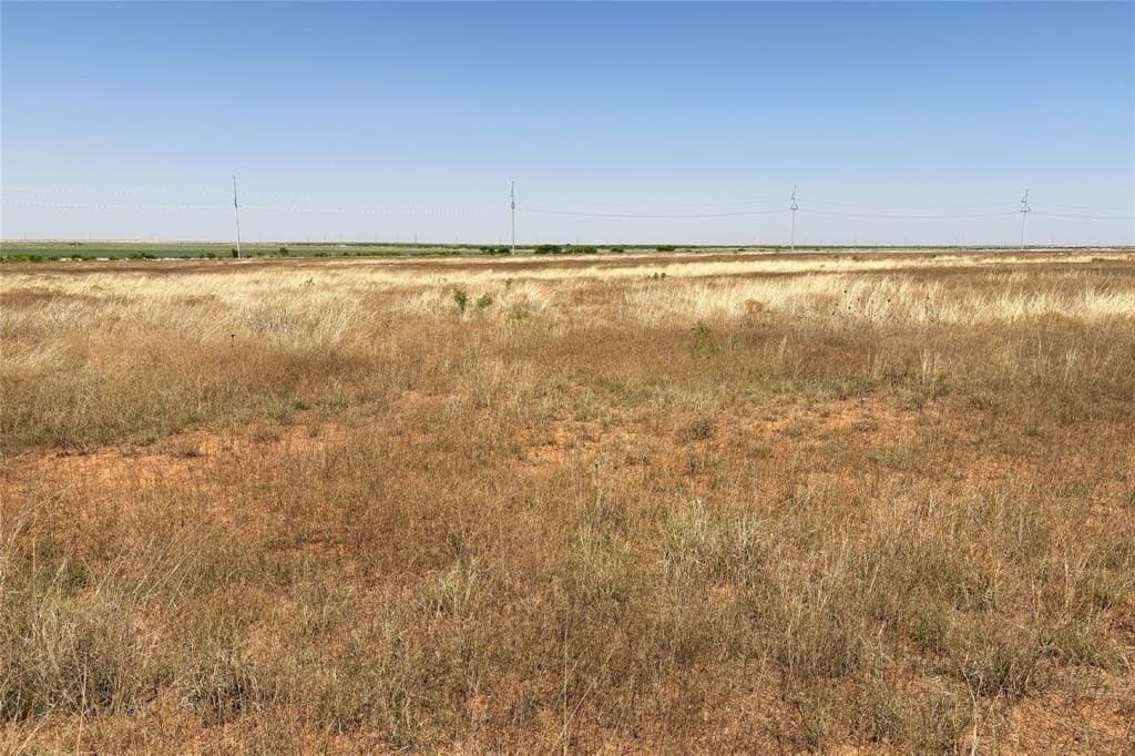 35 acres in Hardeman County featured view