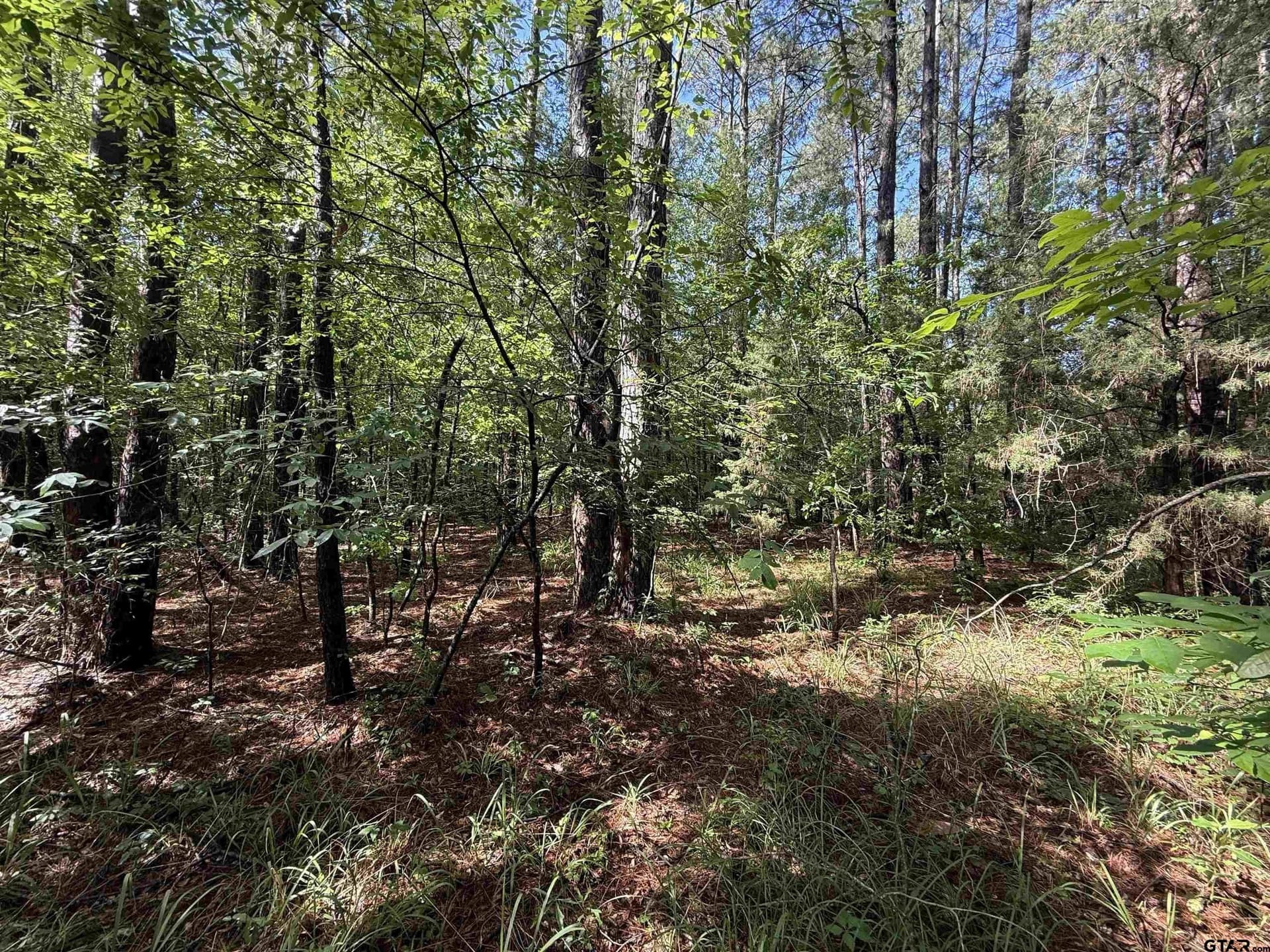 10 acres in Rusk County gallery image 4