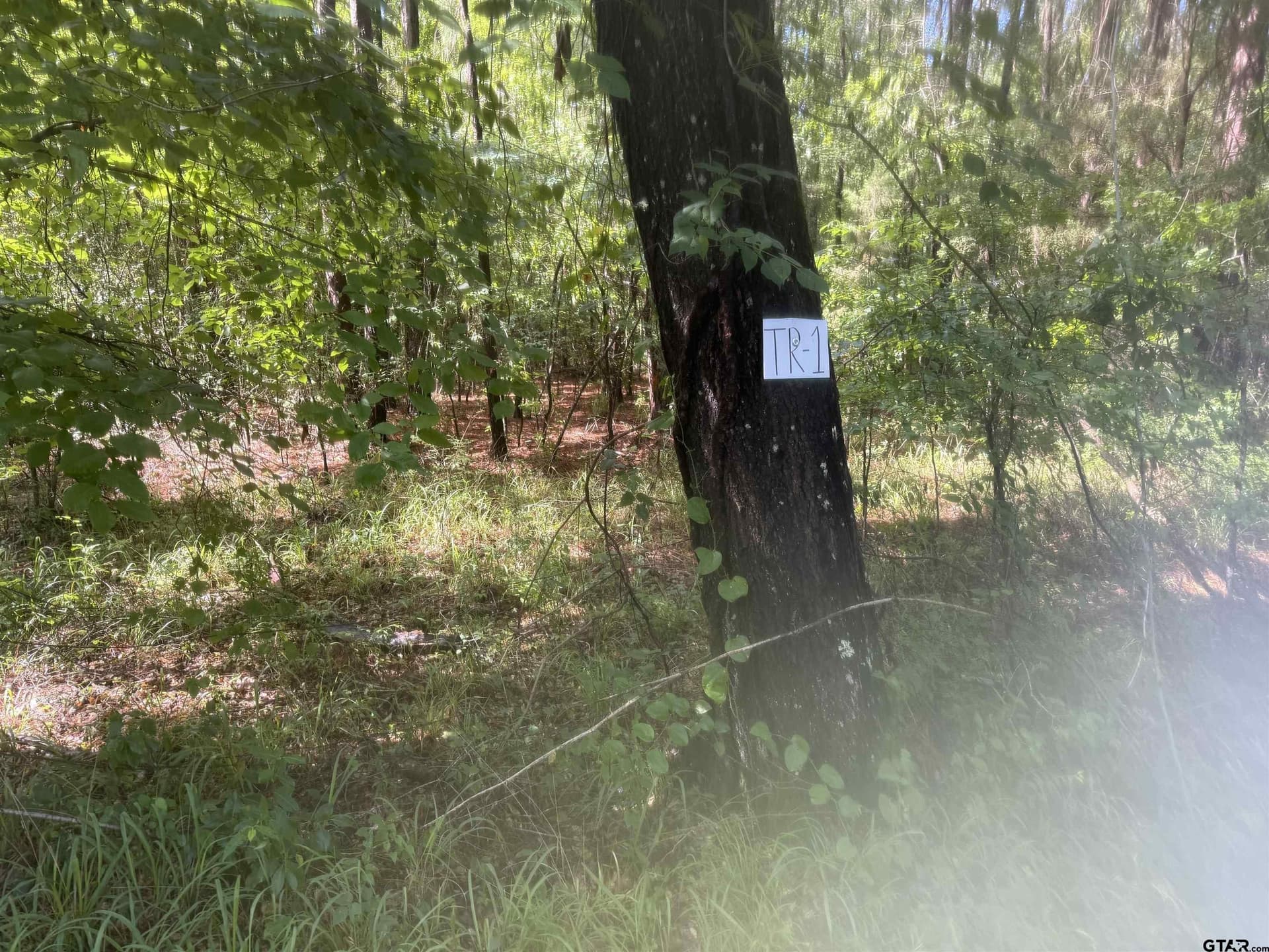 10 acres in Rusk County featured view