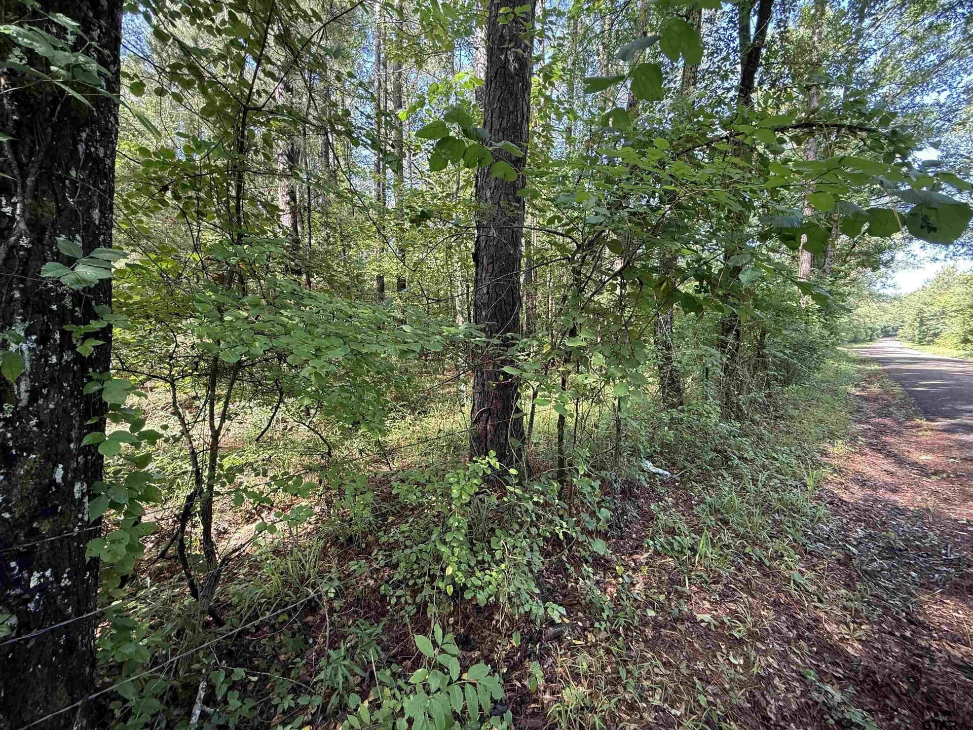 10 acres in Rusk County