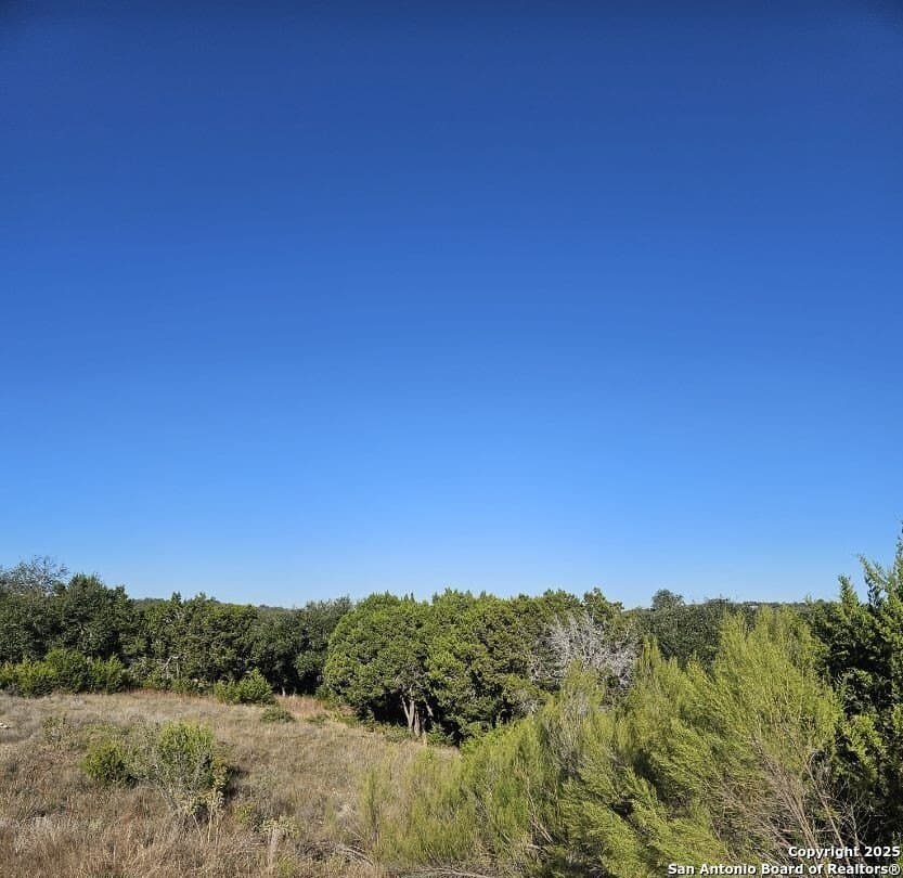 1.05 acres in Comal County gallery image 4