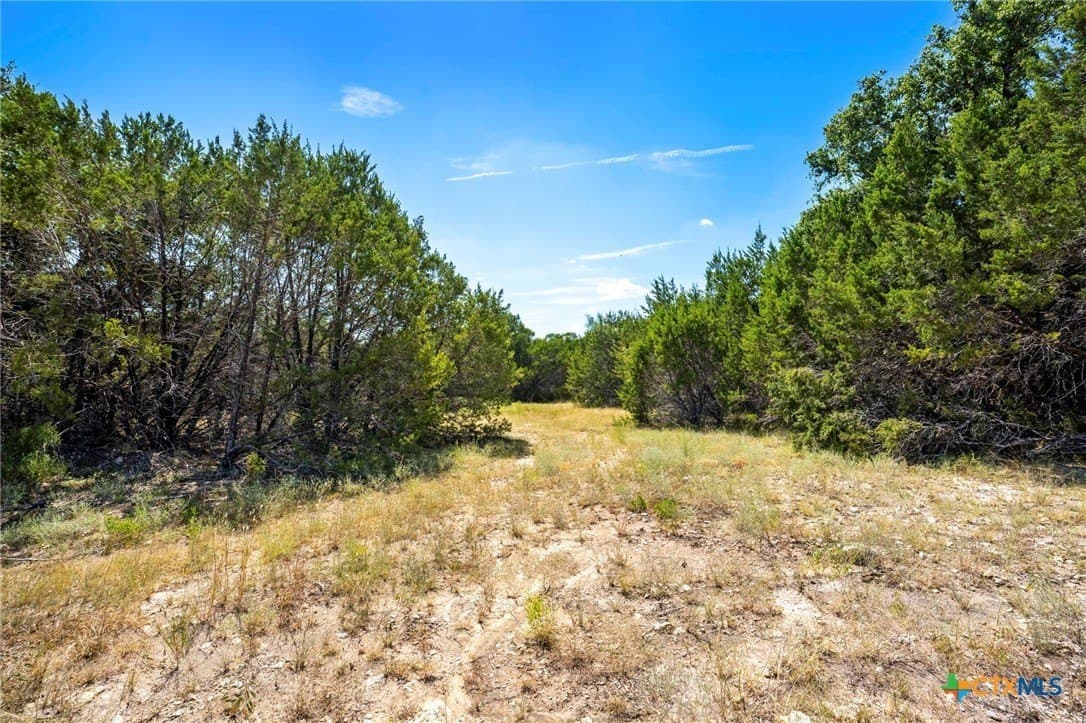 25 acres in Coryell County - photo 4