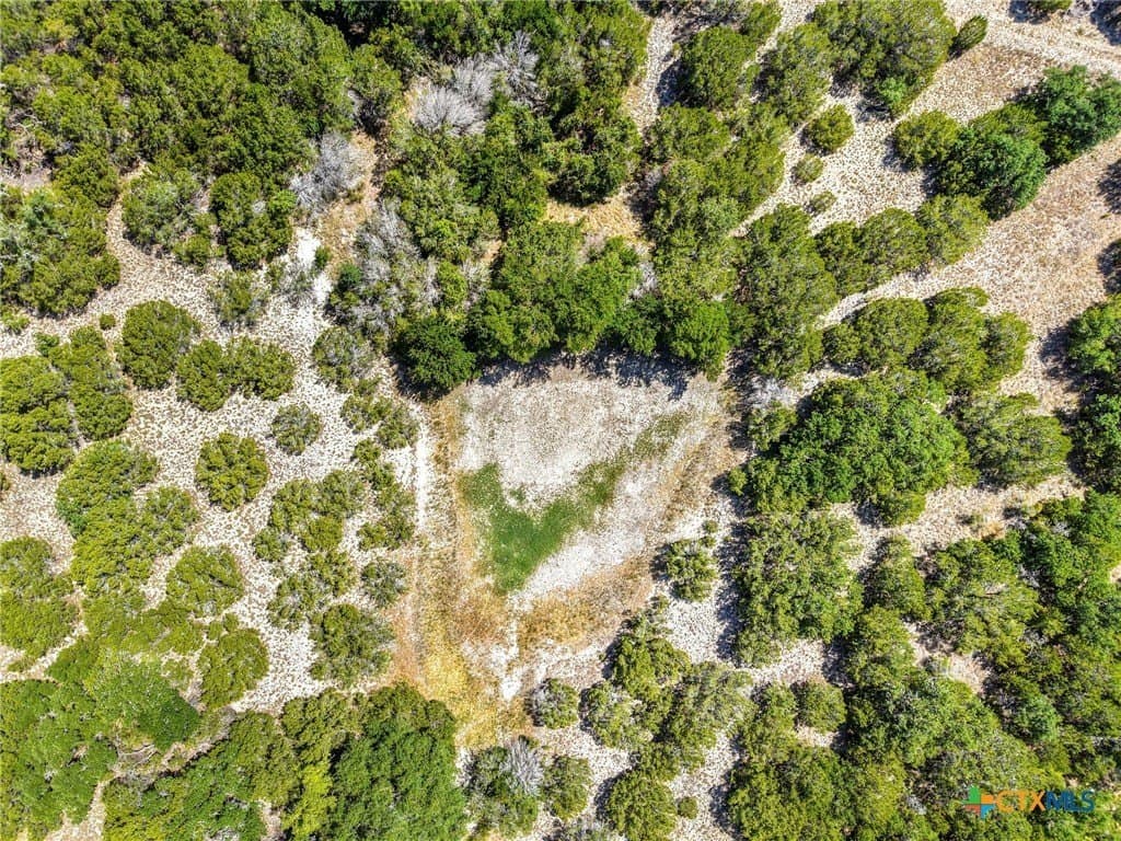 25 acres in Coryell County - photo 6