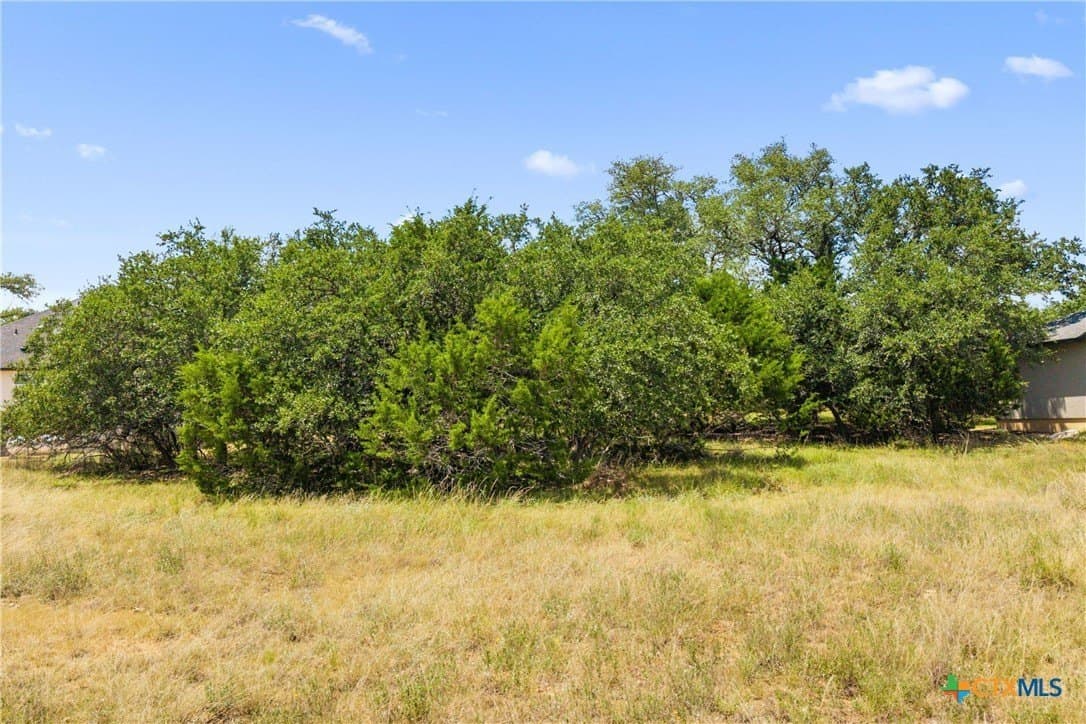 0.23 acres in Blanco County - photo 11