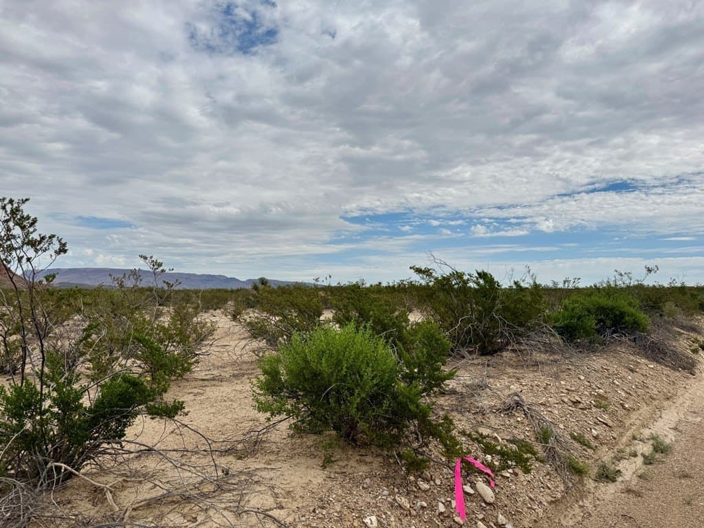 5 acres in Brewster County gallery image 2
