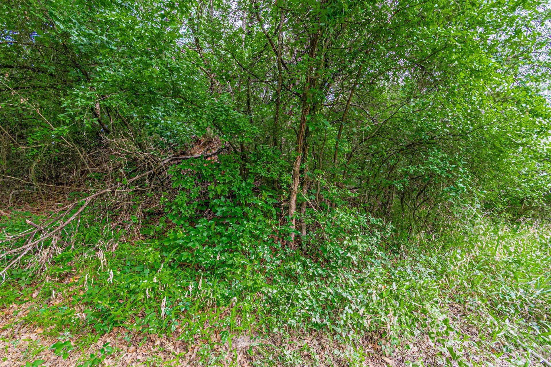 0.53 acres in Hood County