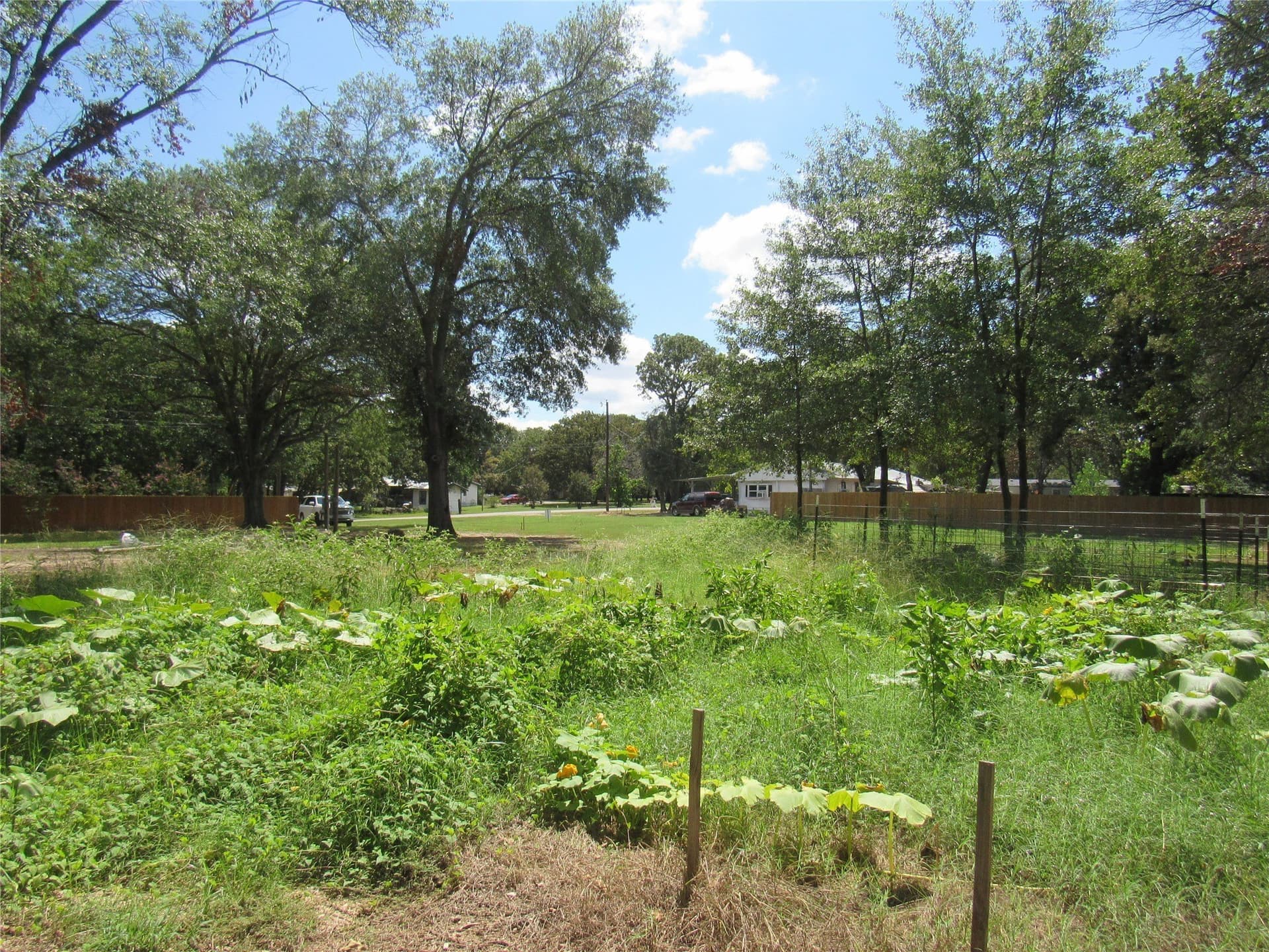0.76 acres in Fannin County - photo 13