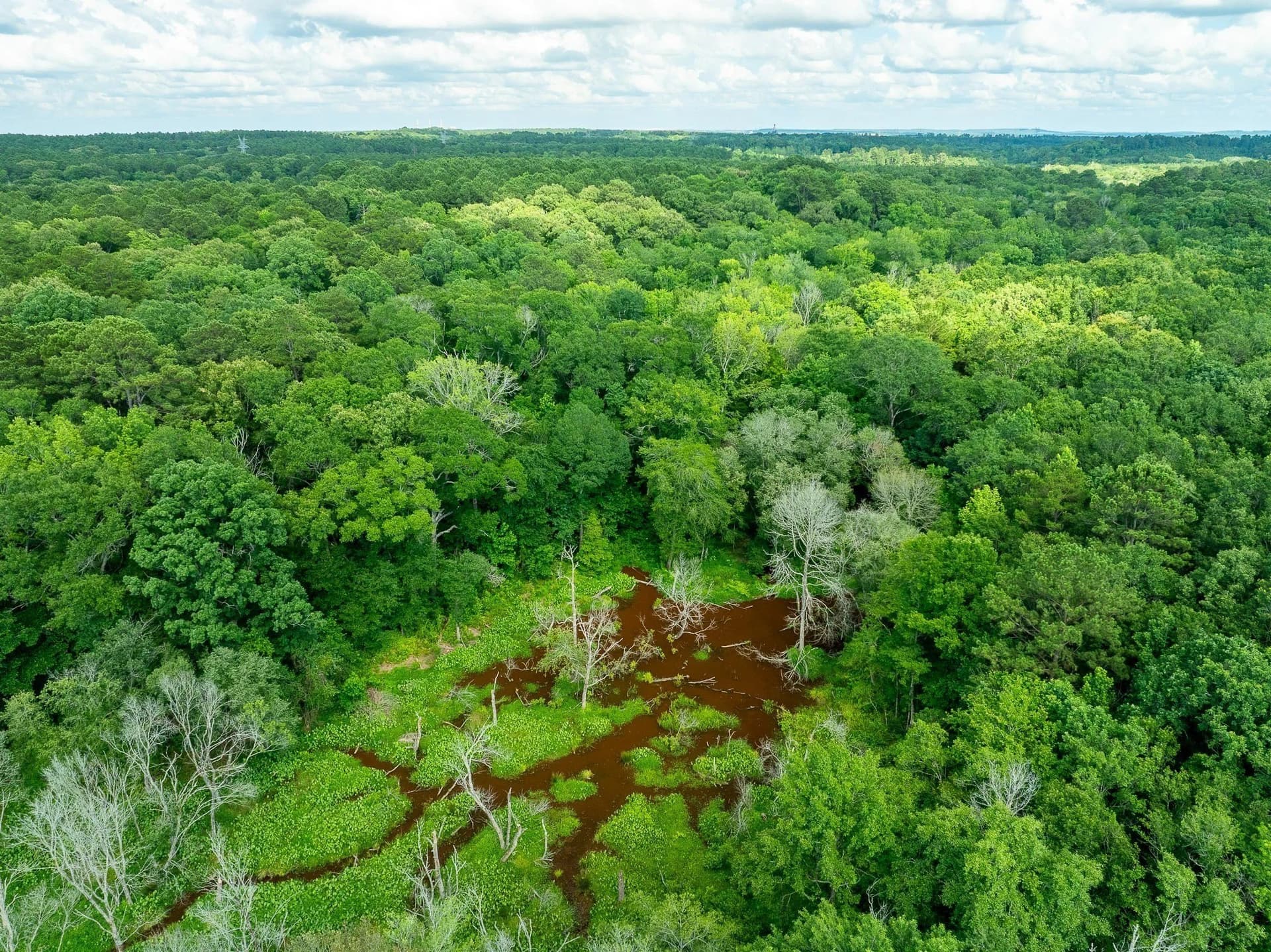 36 acres in Rusk County