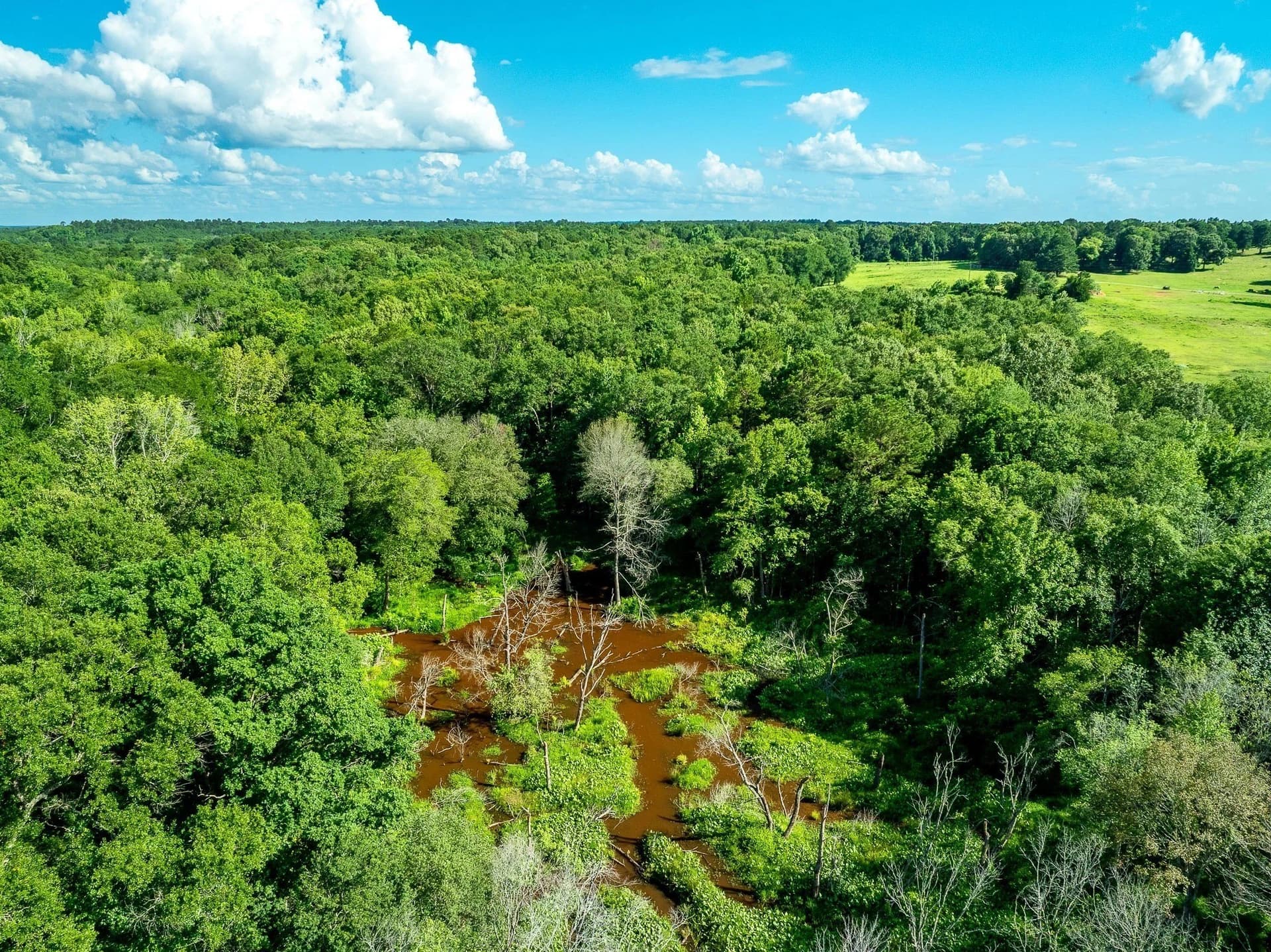 36 acres in Rusk County - photo 5