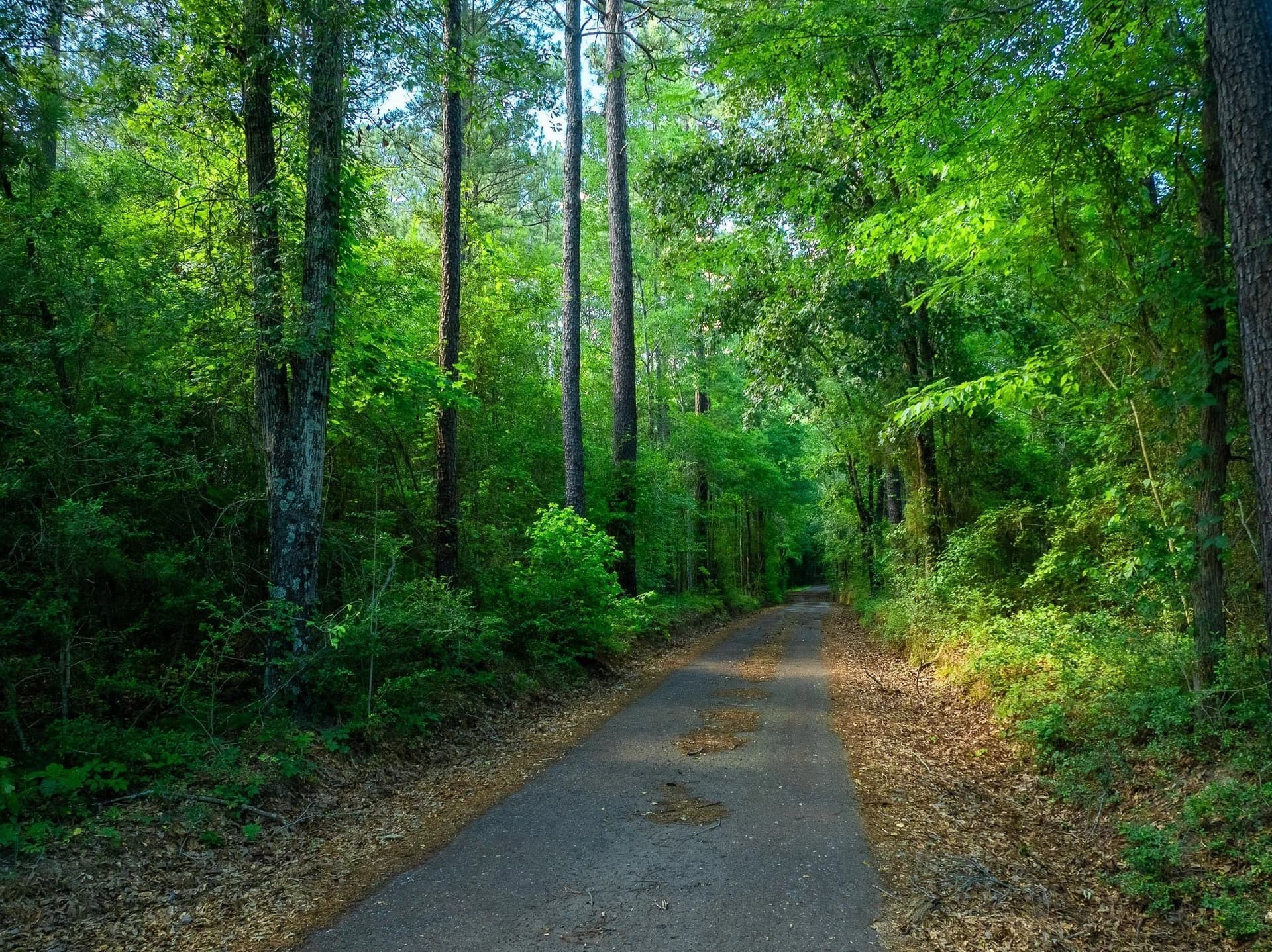 36 acres in Rusk County - photo 2