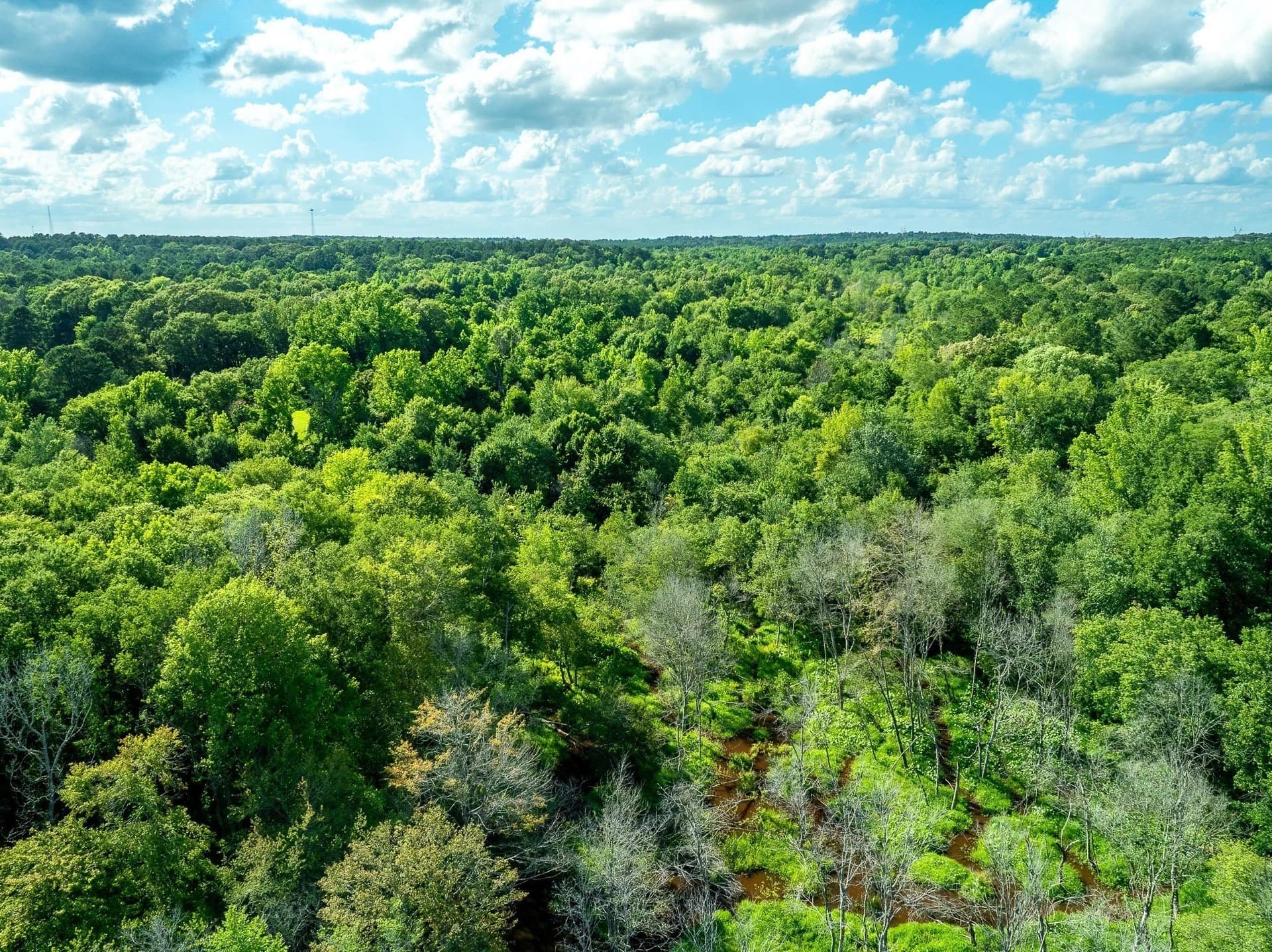 36 acres in Rusk County - photo 9