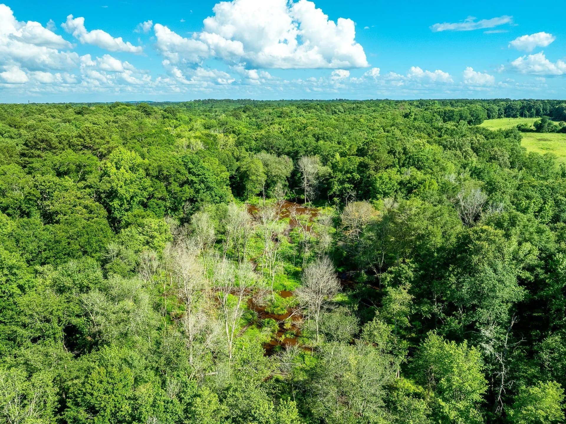 36 acres in Rusk County - photo 12