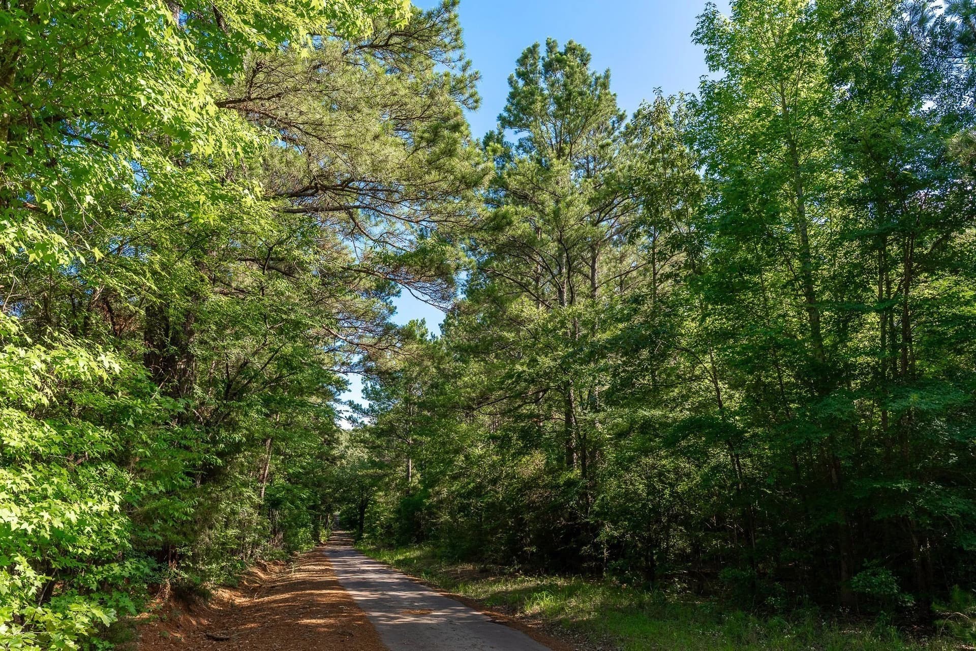36 acres in Rusk County - photo 11