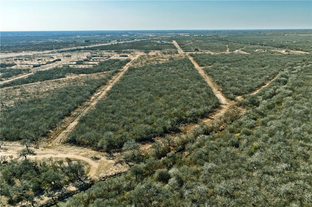 17.18 acres in Jim Wells County gallery image 2