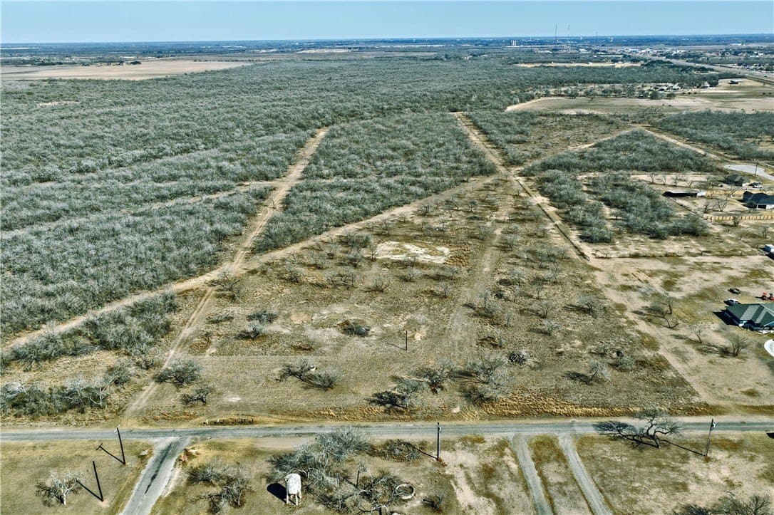 17.18 acres in Jim Wells County gallery image 3