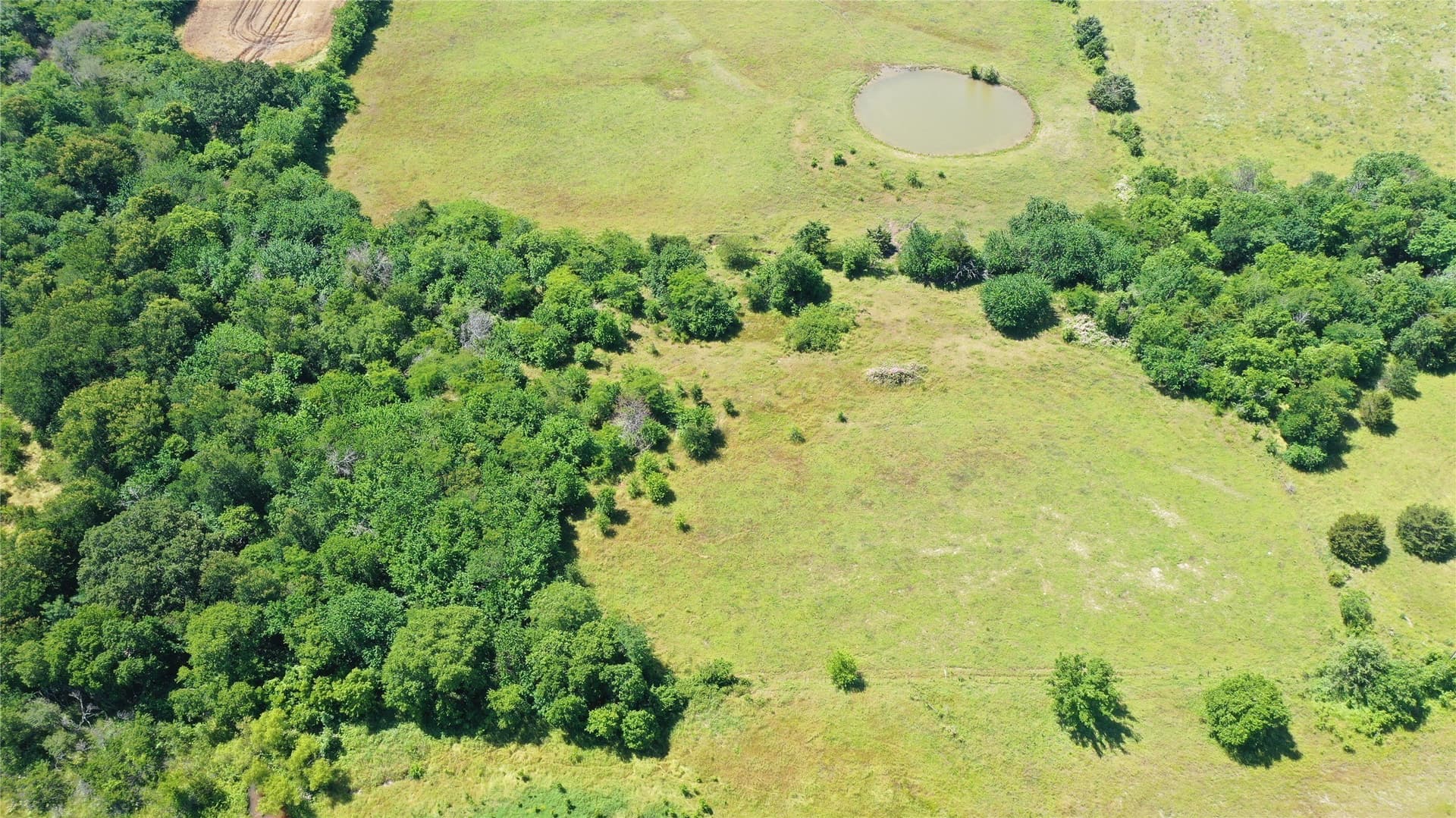 35.44 acres in Hunt County - photo 8