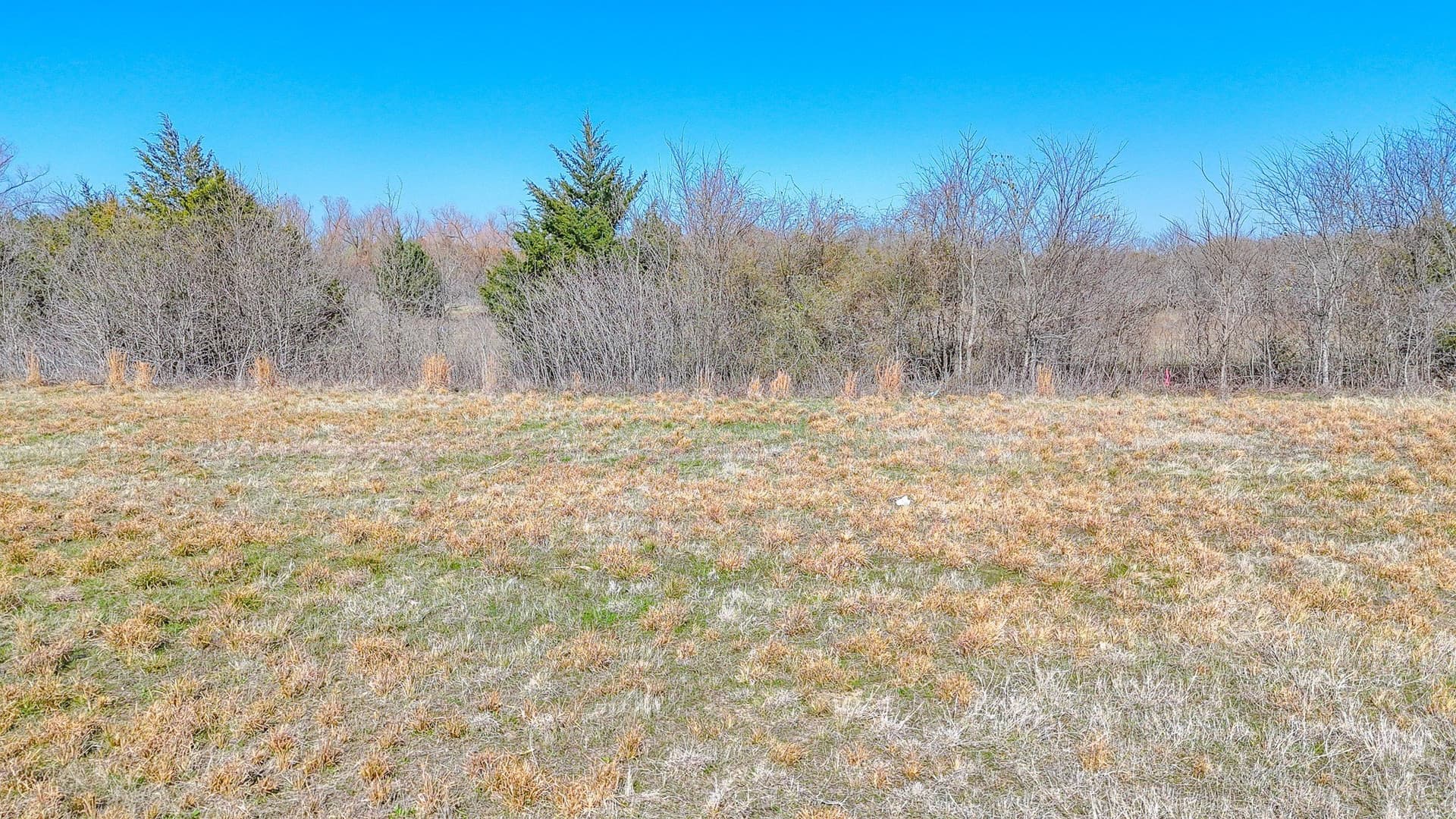 1 acres in Navarro County - photo 16