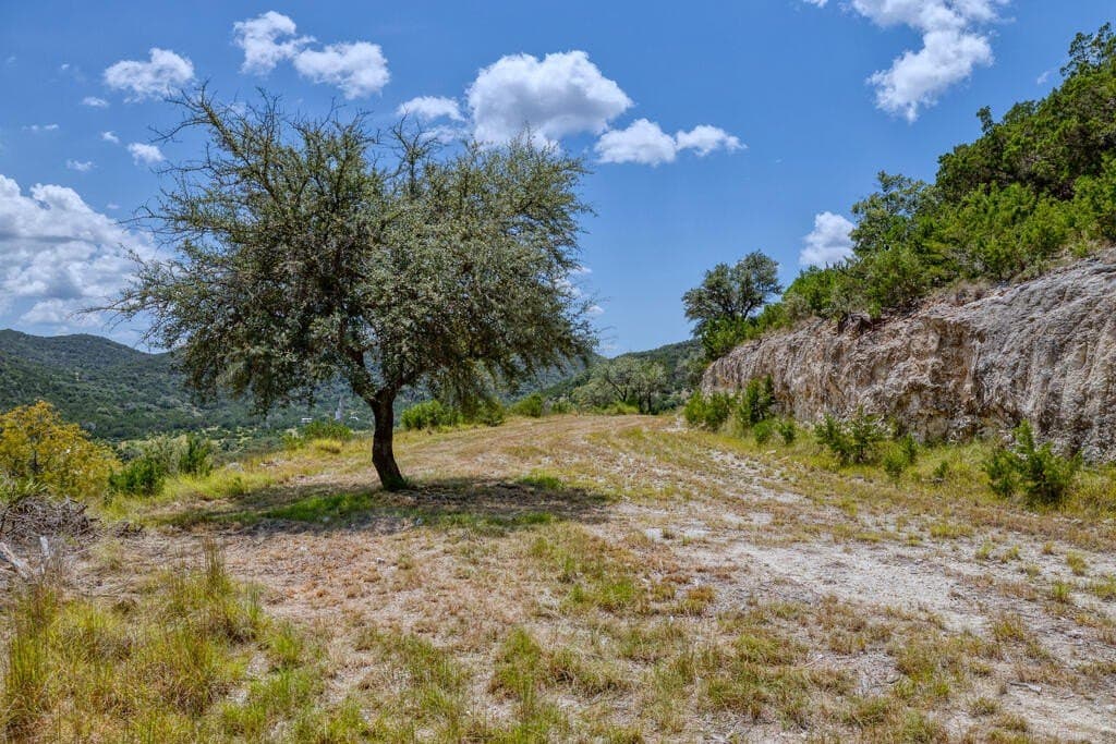 225.7 acres in Real County - photo 17