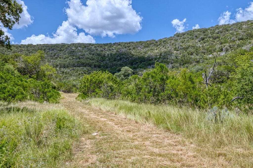 225.7 acres in Real County - photo 18