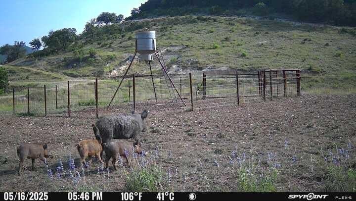 225.7 acres in Real County - photo 69