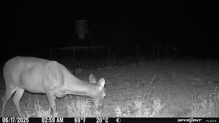 225.7 acres in Real County - photo 59