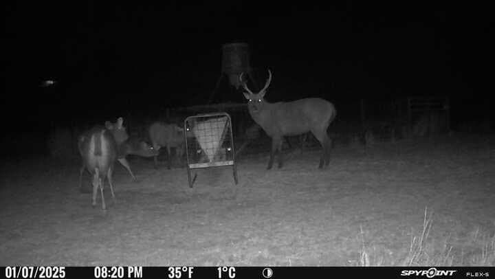 225.7 acres in Real County - photo 64