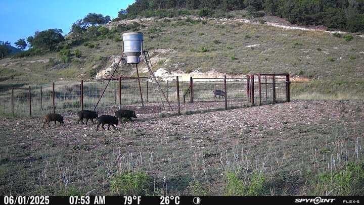 225.7 acres in Real County - photo 68