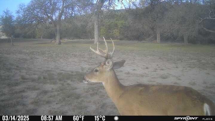 225.7 acres in Real County - photo 60