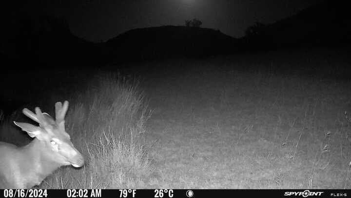 225.7 acres in Real County - photo 67