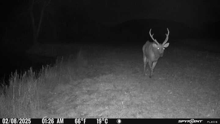 225.7 acres in Real County - photo 62