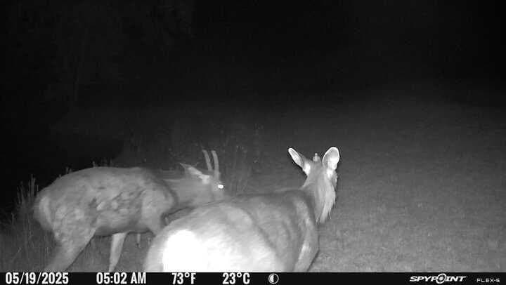 225.7 acres in Real County - photo 72