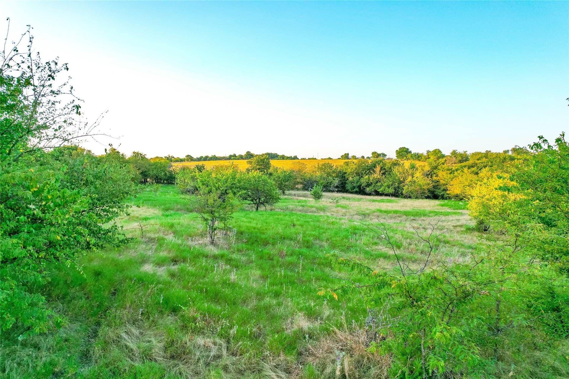 12.94 acres in Collin County - photo 25