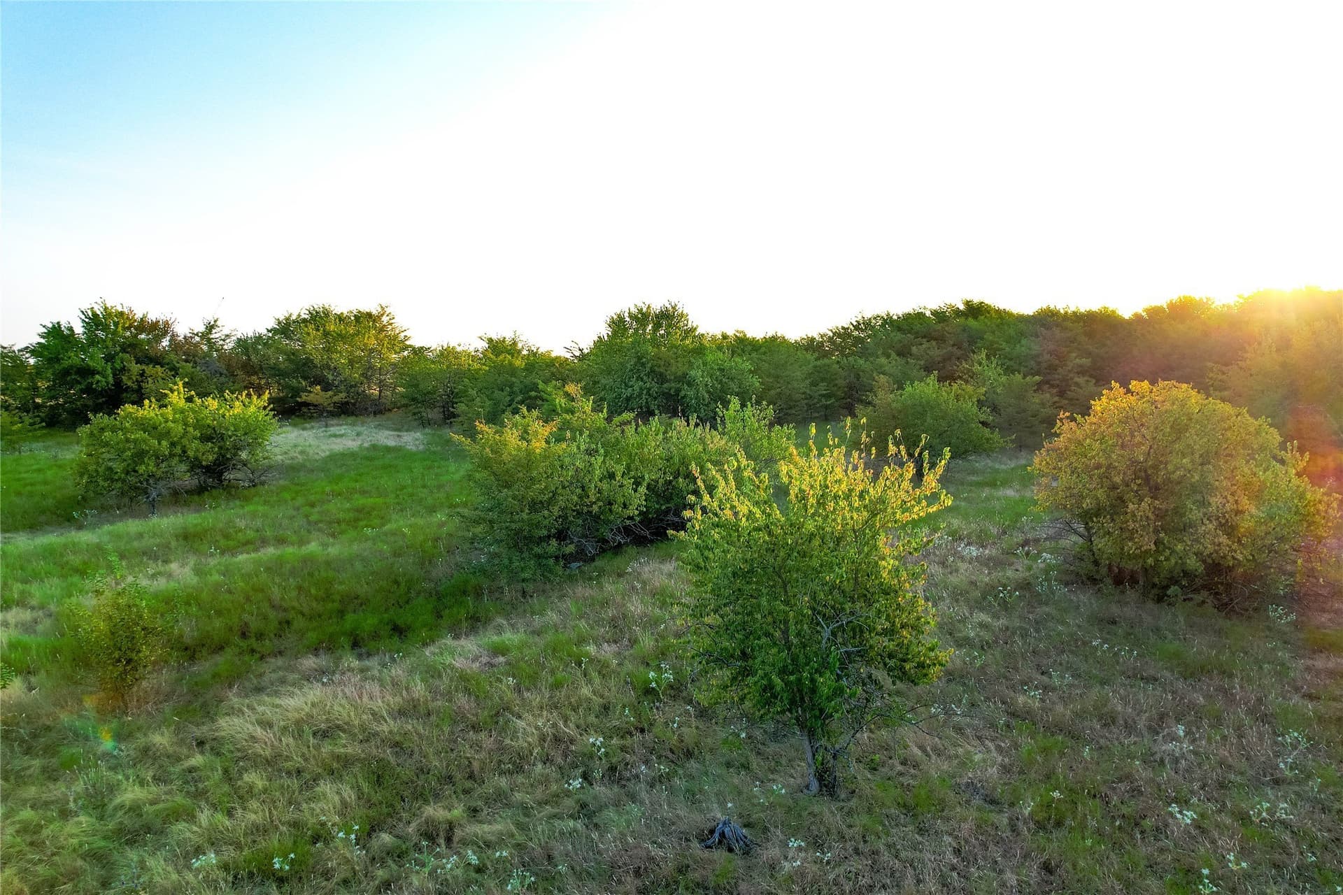12.94 acres in Collin County - photo 26