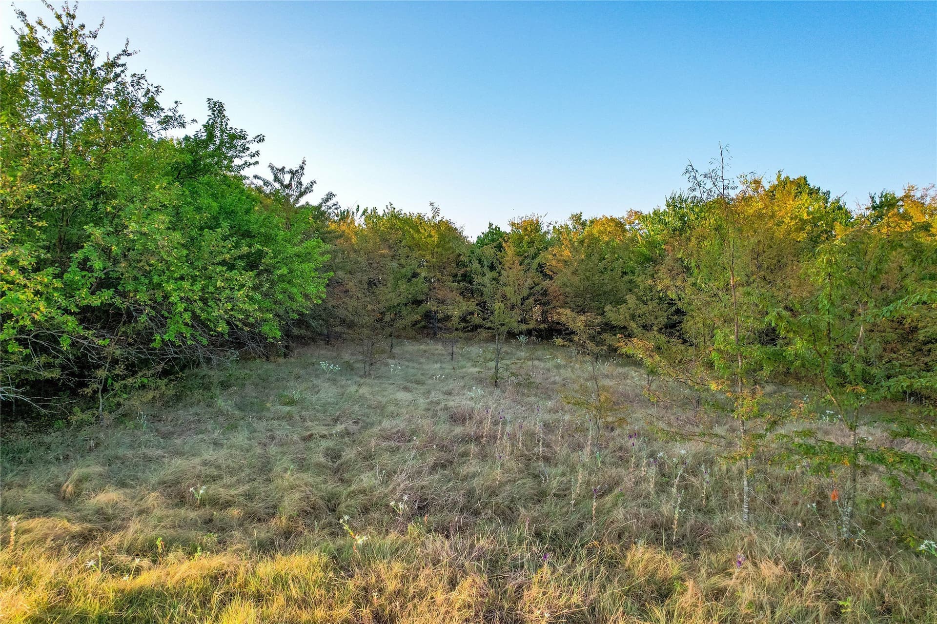 12.94 acres in Collin County - photo 36