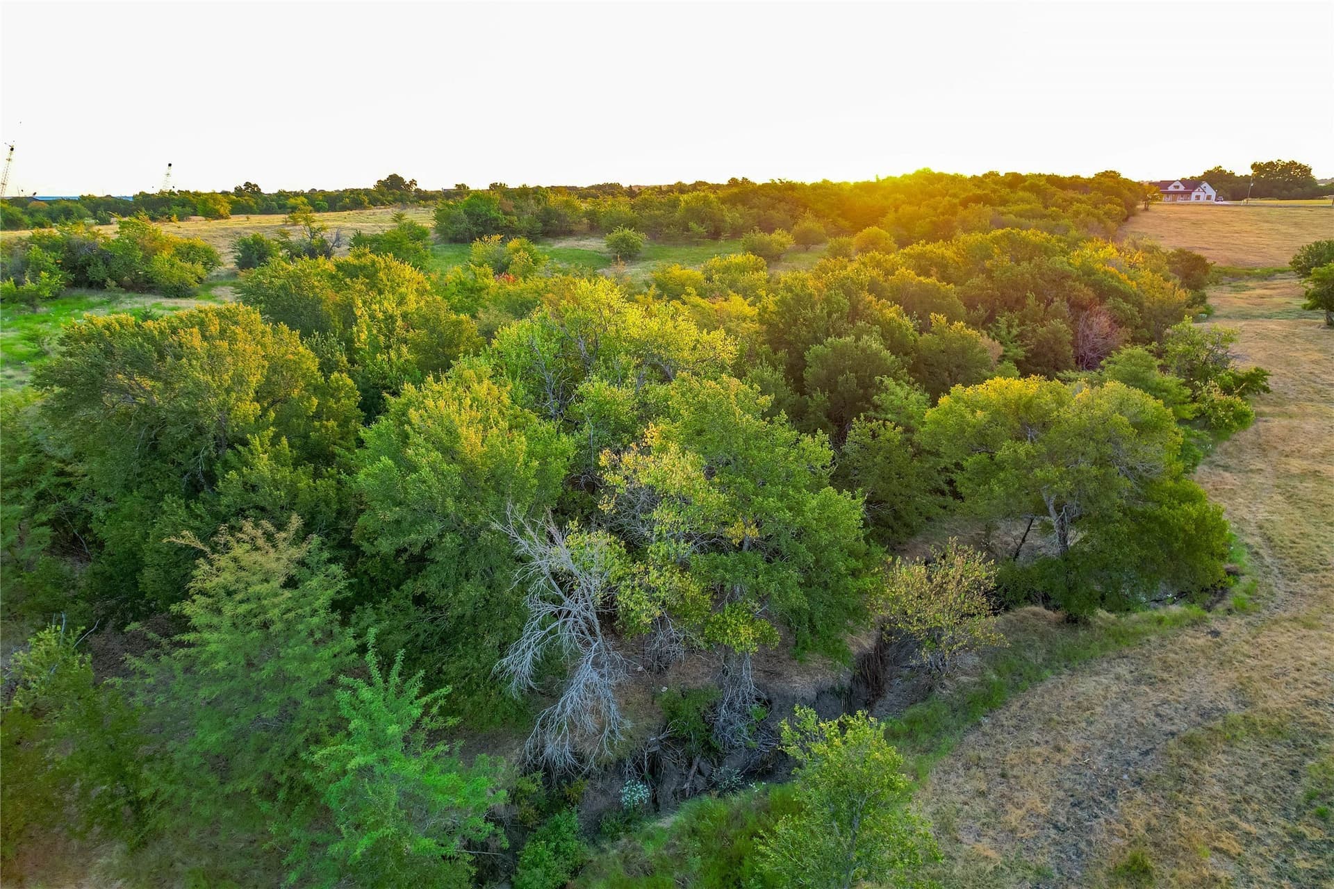 12.94 acres in Collin County - photo 10