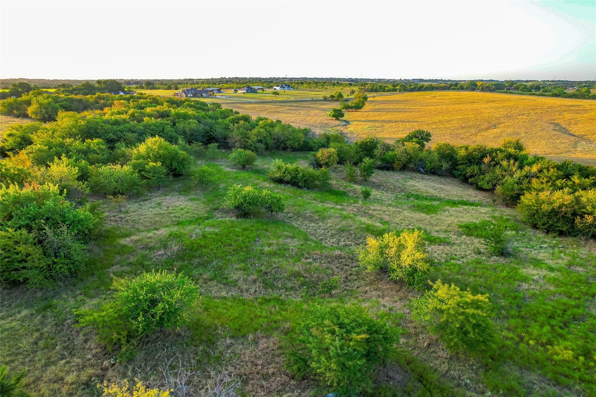 12.94 acres in Collin County - photo 22