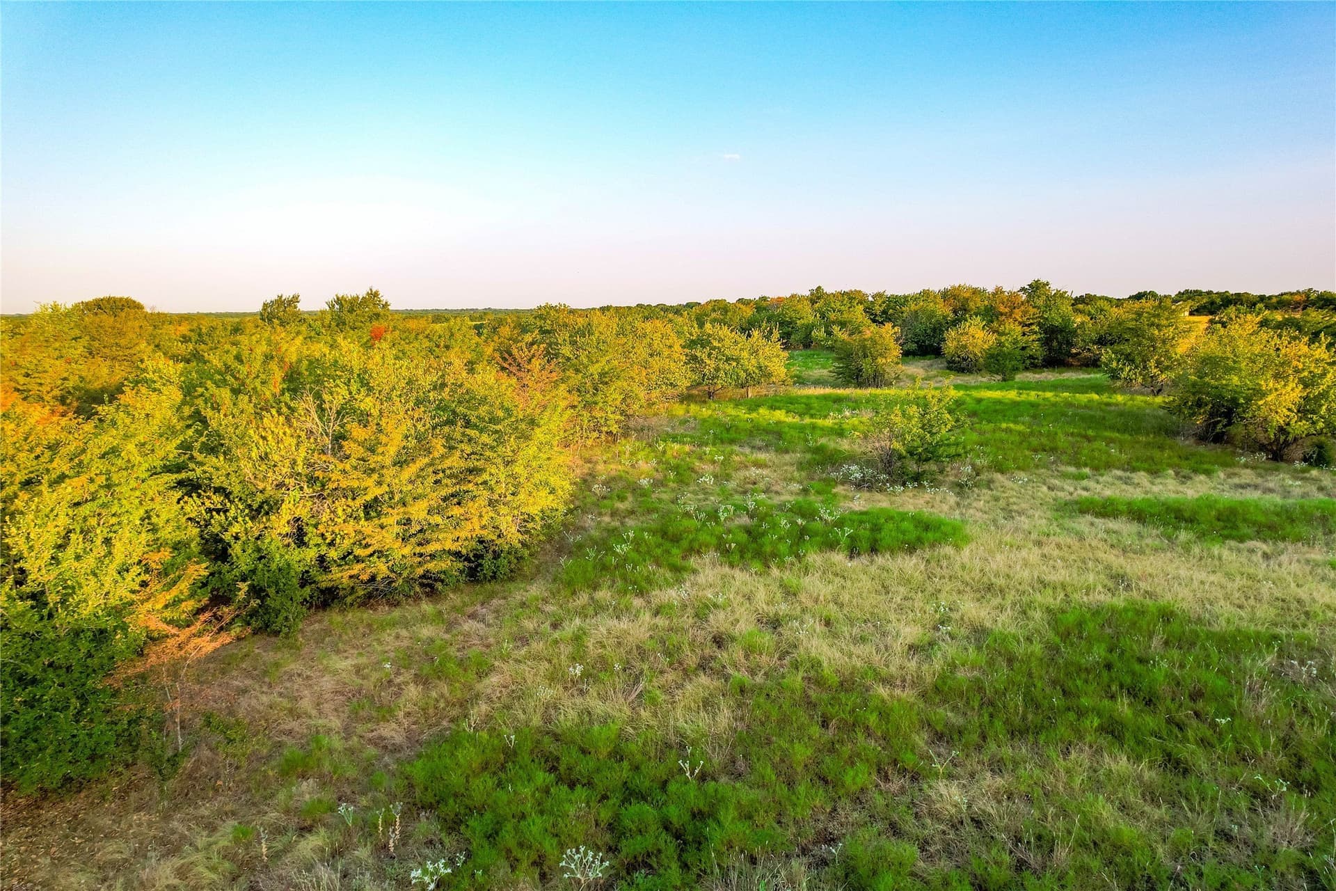 12.94 acres in Collin County - photo 27