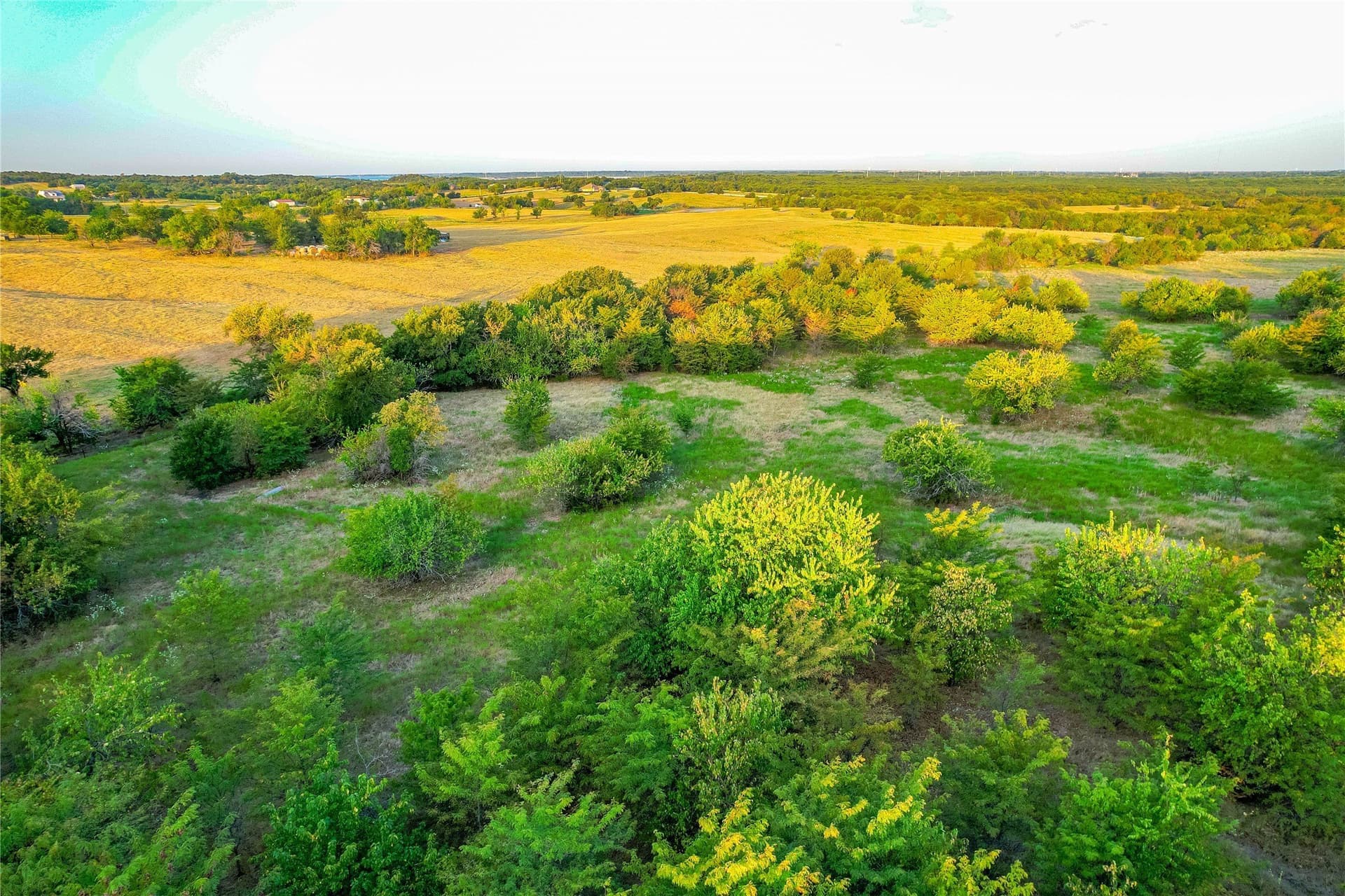 12.94 acres in Collin County - photo 21