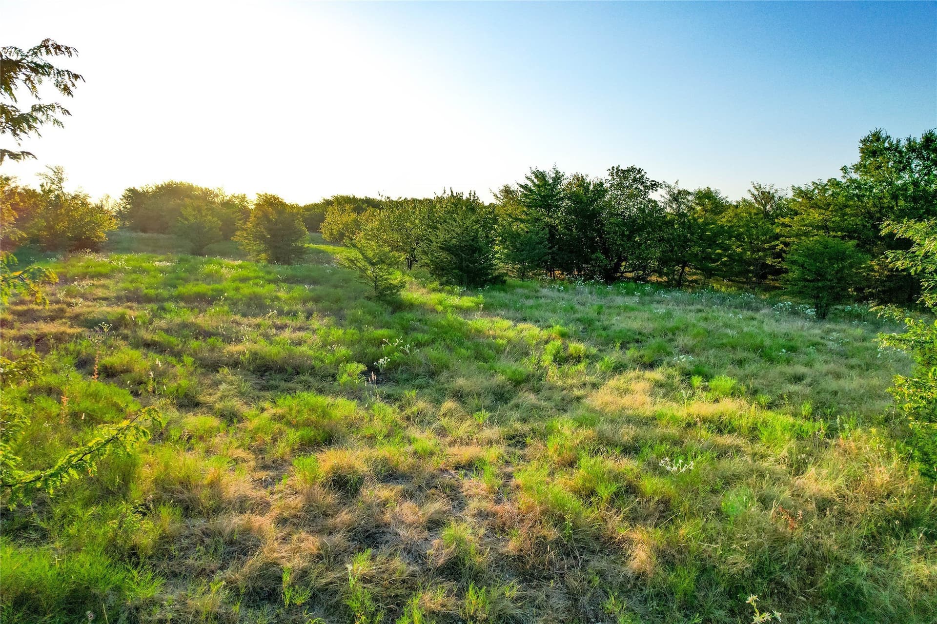 12.94 acres in Collin County - photo 32