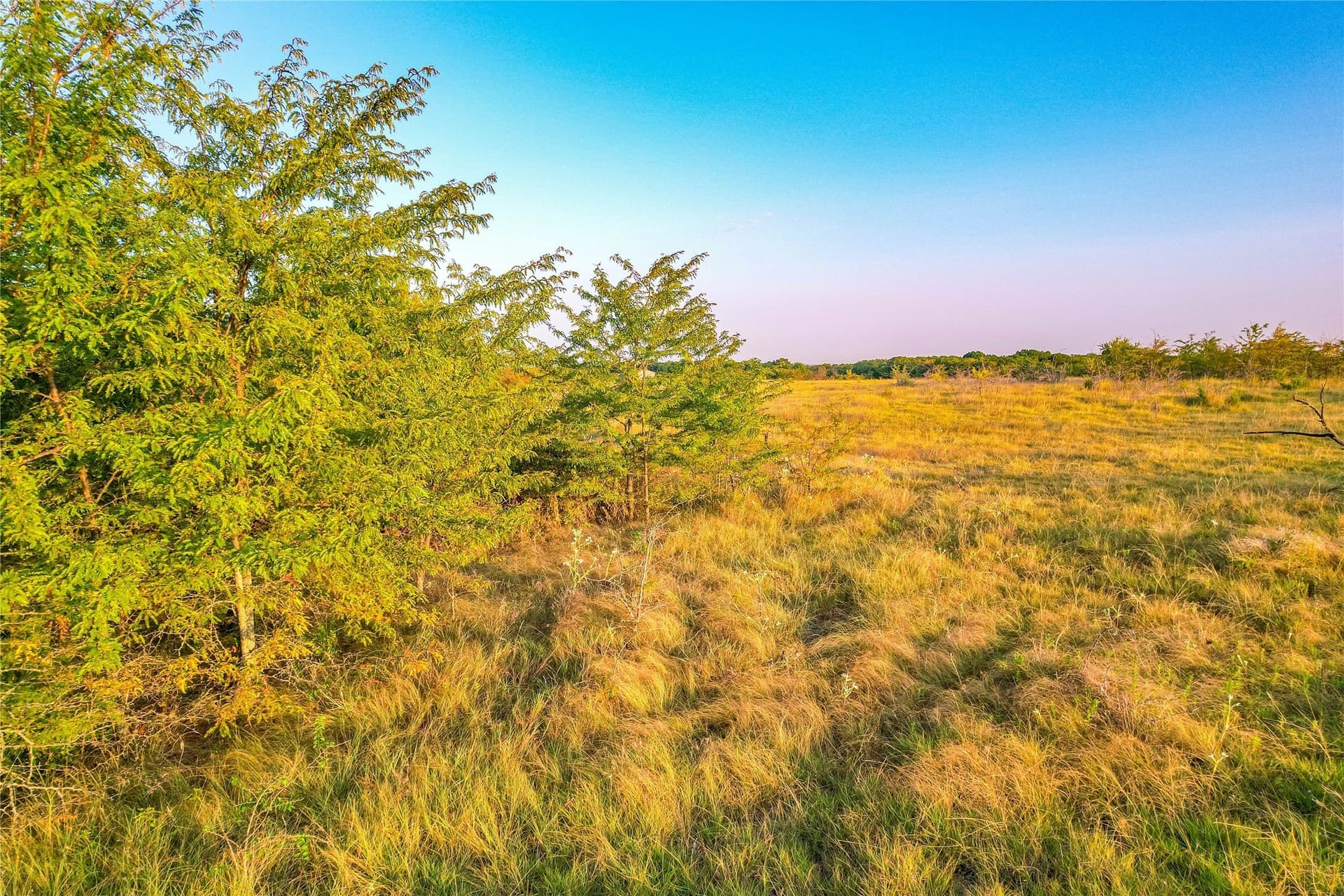 12.94 acres in Collin County - photo 23
